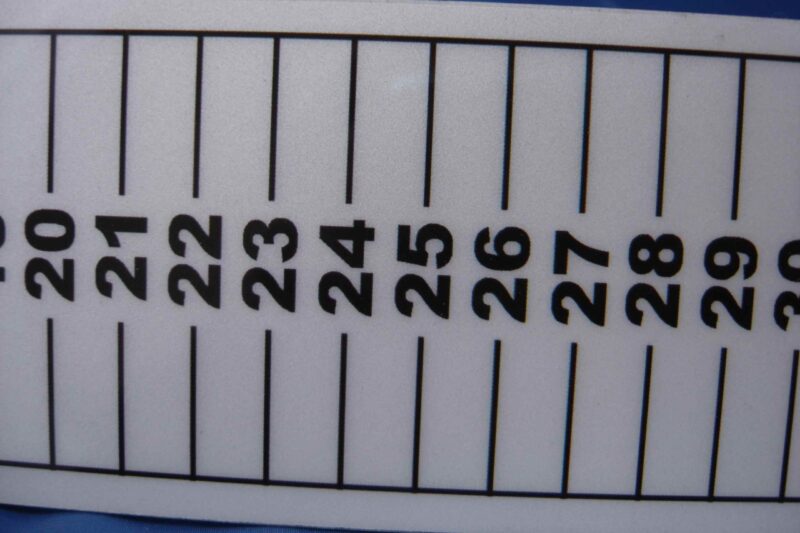fish measure