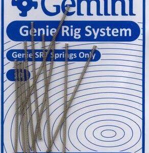 Gemini SRT Spring
